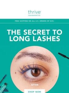 Achieve Lash Perfection