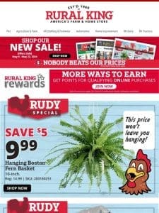 All New Deals! Check Out Our Rudy Special – Hanging Basket Fern 10″ Was $14.99 Now $9.99!