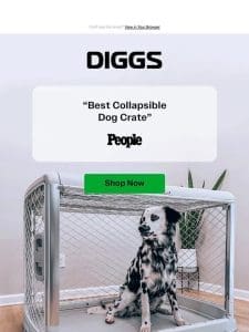 Awarded “Best Dog Crate Overall” by Forbes 4 years in a row