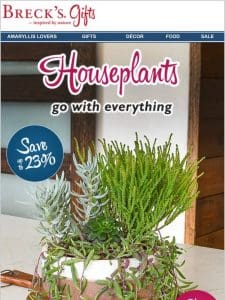 Because we love houseplants as much as you do.