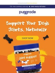 Bring Back the Zoomies! Ease Your Dog’s Pain with PupGrade