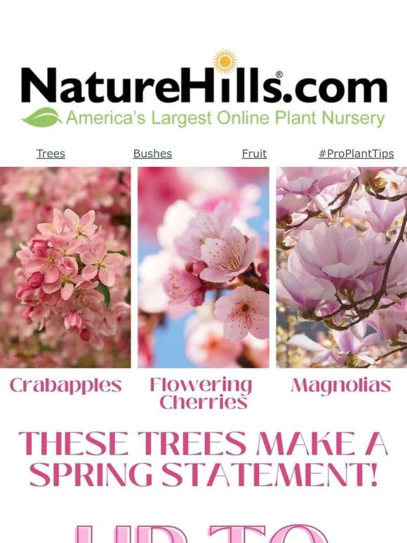 Crabapples， Flowering Cherries & Magnolia Trees Are Up To 48% Off!