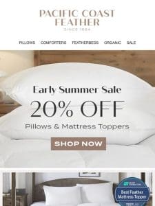 Don’t Wait! Down & Feather Pillows Are 20% OFF!