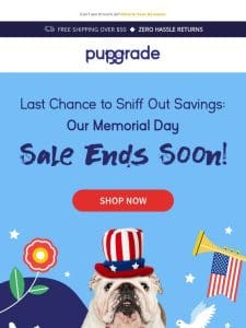 ENDING TODAY – 20% OFF Memorial Day Savings