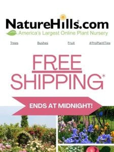 ENDS AT MIDNIGHT! Free shipping on plant orders $99+