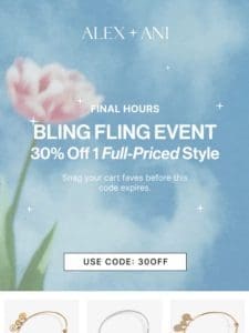 ? FINAL HOURS 30% Off Bling Fling ?