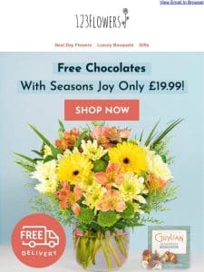 FREE Chocolates With Seasons Joy!