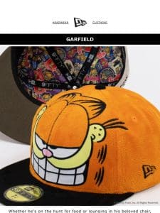 GARFIELD