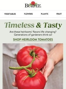 Grow mouthwatering heirloom tomatoes