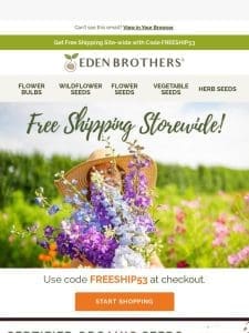 Hey Free Shipping!