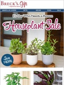 Houseplant Savings up to 40%