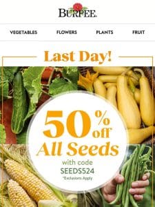 Hurry for 50% off seeds