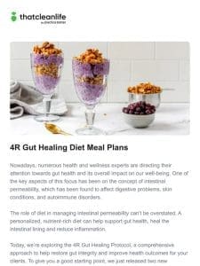 Introducing our 4R Gut Healing Diet Templates