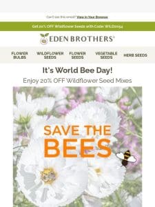 It’s World Bee Day