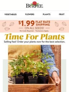 It’s time to order your plants