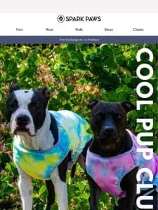 Join the Cool Pups Club!