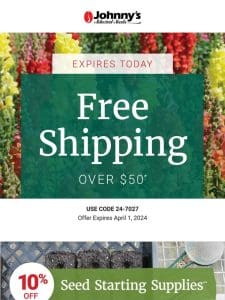 Last Day: Free Shipping Offer