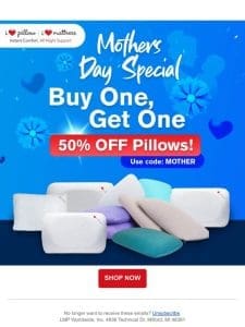 Last chance for Buy One， Get One 50% Off Pillows!