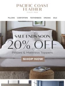 Limited Time Left to Shop 20% OFF Pillows & Featherbeds