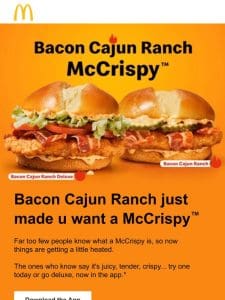 Limited time: new Bacon Cajun Ranch McCrispy™  ​