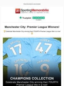 Manchester City Winners Collection
