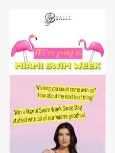 Miami or Bust  ‍♀️GIVEAWAY