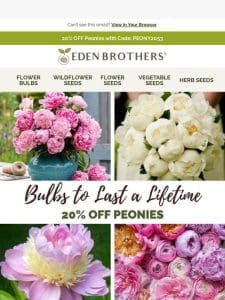 Peonies!   20% OFF