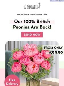 Peonies Are Back!