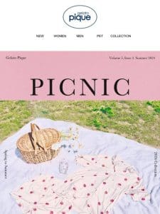 Picnic with Gelato Pique