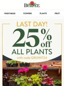 Plants are 25% off， but not for long