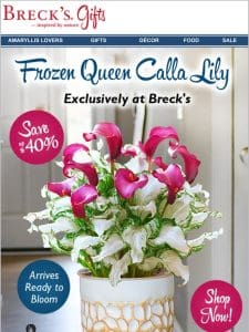 Rare price drop on the rare Frozen Queen