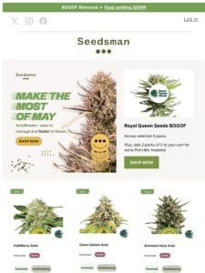 Royal Queen Seeds BOGOF