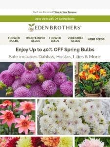 SPRING   BULB   SALE