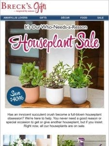 Save up to 40% on one-of-a-kind houseplants