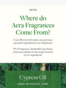 Scent Experts Tell All