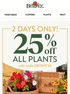 Shop now for 25% off plants