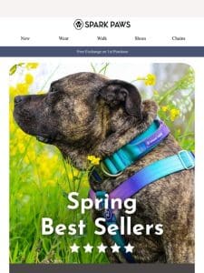 Spring Best Sellers!