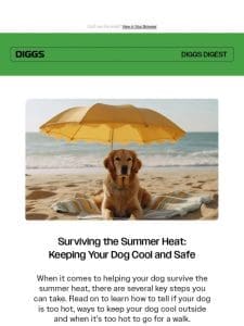 Summer Heat Tips: Keeping Your Dog Cool and Safe