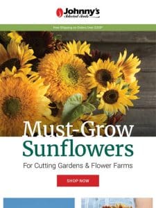 Sunflowers to Sow this Season