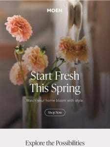 The JOY of starting FRESH