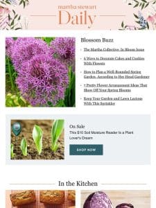 The Martha Collective: In Bloom Issue