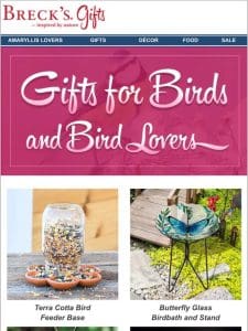 Transform boring backyards into bird B&Bs