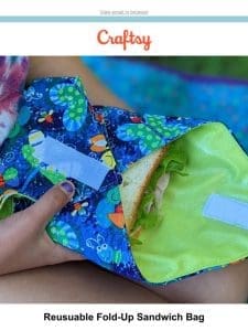 WATCH NOW: Reusuable Fold-Up Sandwich Bag with Nicki LaFoille