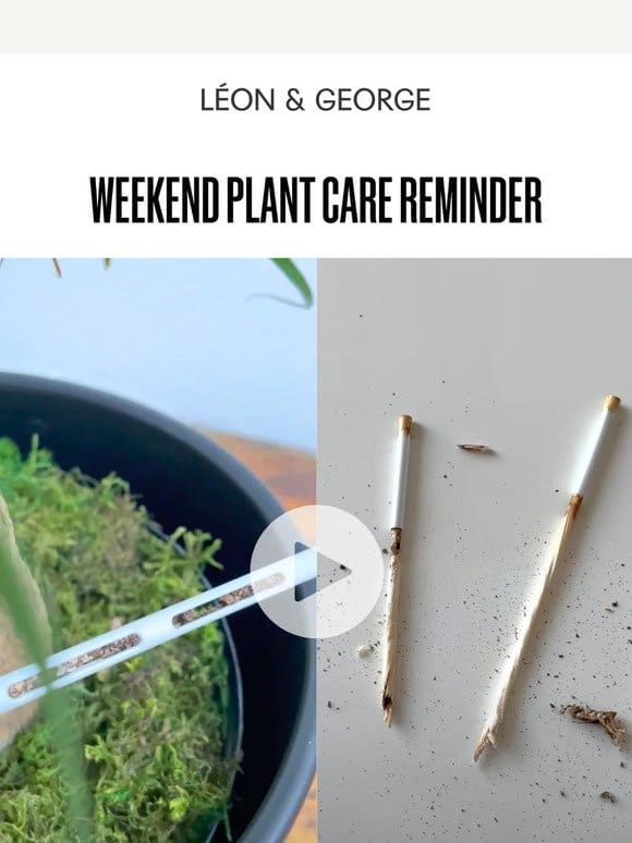 Weekend Plant Care Reminder