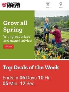 Weekly Offers Just For You