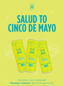 happy Cinco de Mayo!