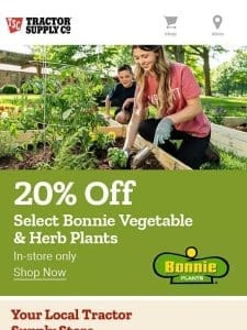 20% Off Select Bonnie Vegtable & Herb Plants!