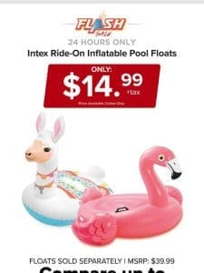 24 HOURS ONLY | INTEX POOL FLOATS | FLASH SALE