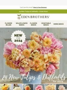 24 NEW Tulips & Daffodils for 2024