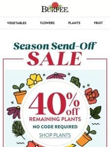 40% off plants is happening now!